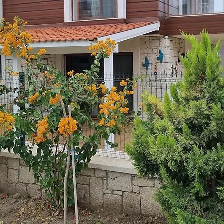 Detached In Dalyan, * Çeşme